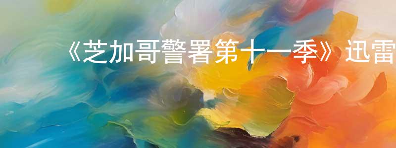 陈亚财的动漫综艺大全,《芝加哥警署第十一季》迅雷下载/在线观看-犯罪历史-美剧天堂